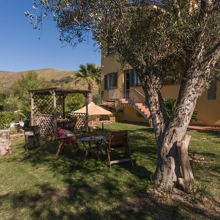 Villa Tresino Appartamenti Castellabate Zewnętrze zdjęcie